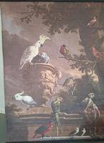 Wandkleed met aapjes en vogels (papagaaien - ara's), Ophalen of Verzenden