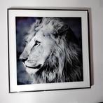 Schilderij leeuw, Ophalen of Verzenden, Gebruikt, Schilderij, Minder dan 50 cm