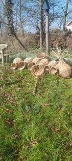 Rotan eenden korfen, Meerdere dieren, Eend