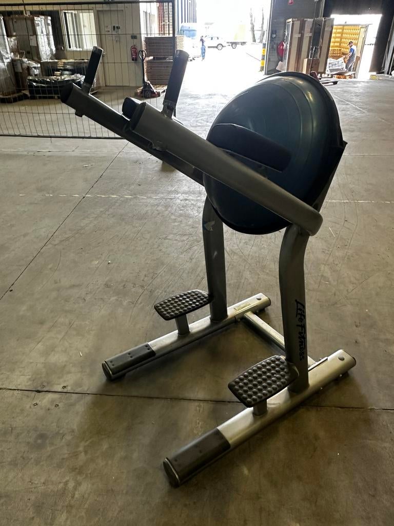 Life Fitness Leg Raise, Ophalen, Gebruikt, Overige typen