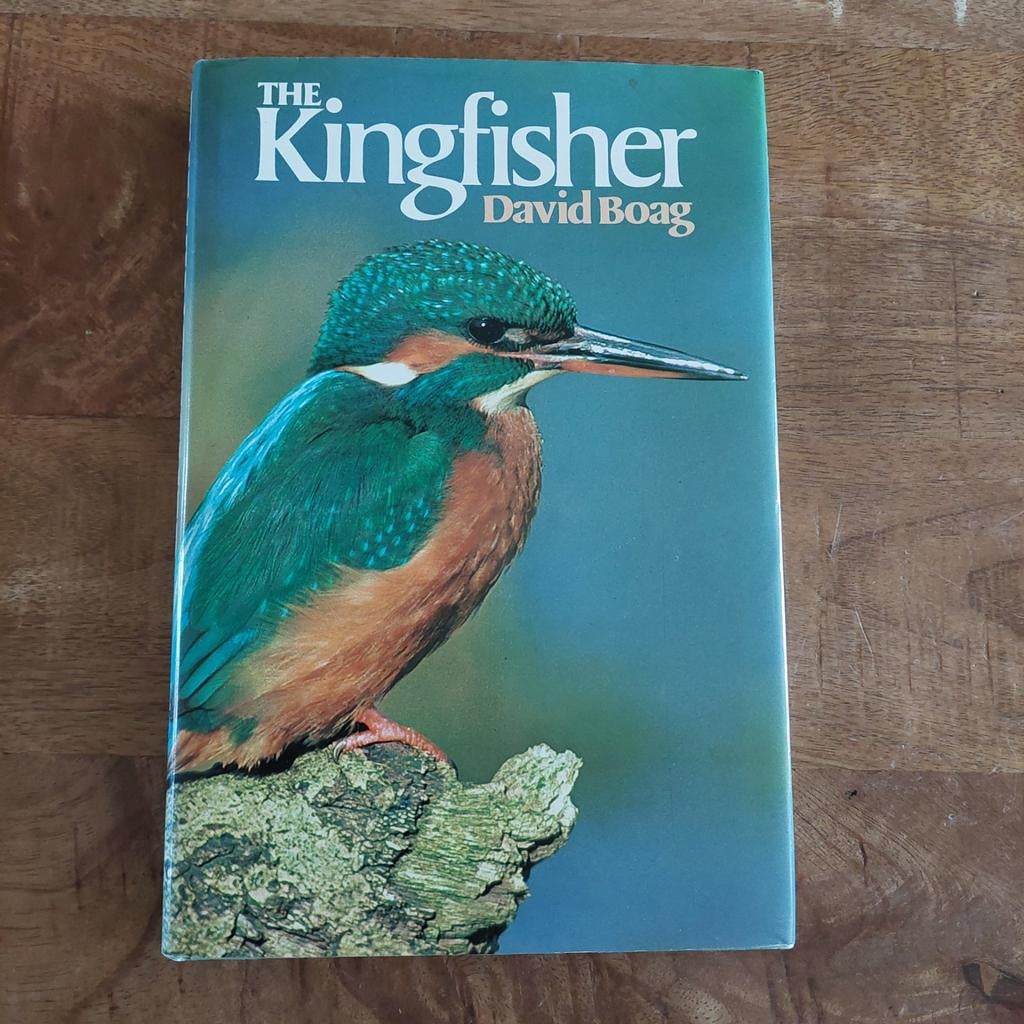 The Kingfisher - David Boag ( de ijsvogel ), Boeken, Natuur, Ophalen of Verzenden, Zo goed als nieuw, Vogels, David Boag