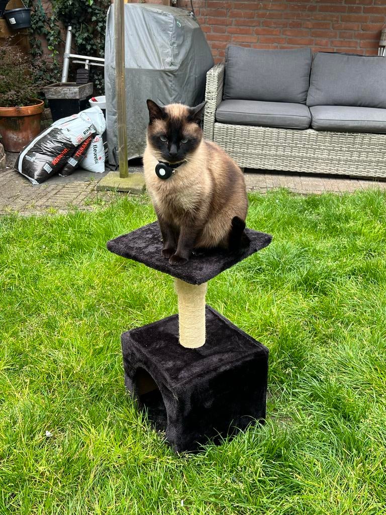 Katten krabpaal 30x30x60 cm, Ophalen, Zo goed als nieuw