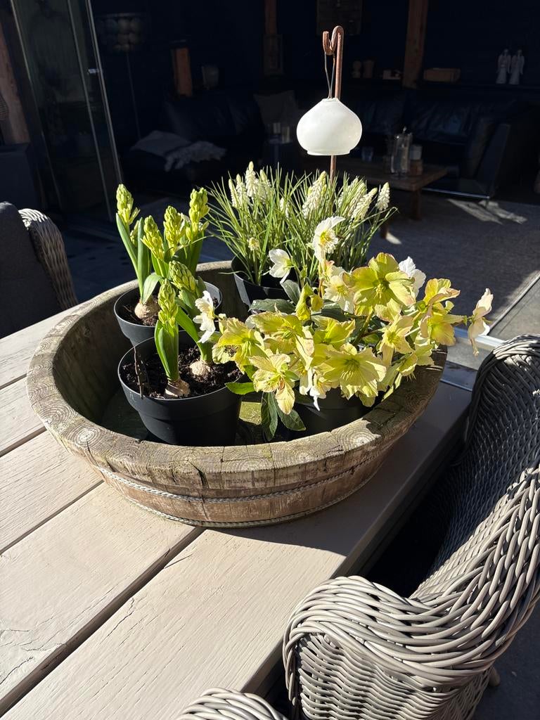 Grote olijfbak voor buiten - 67cm, Tuin en Terras, Bloempotten, Ophalen, Overige materialen, Gebruikt, Balkon