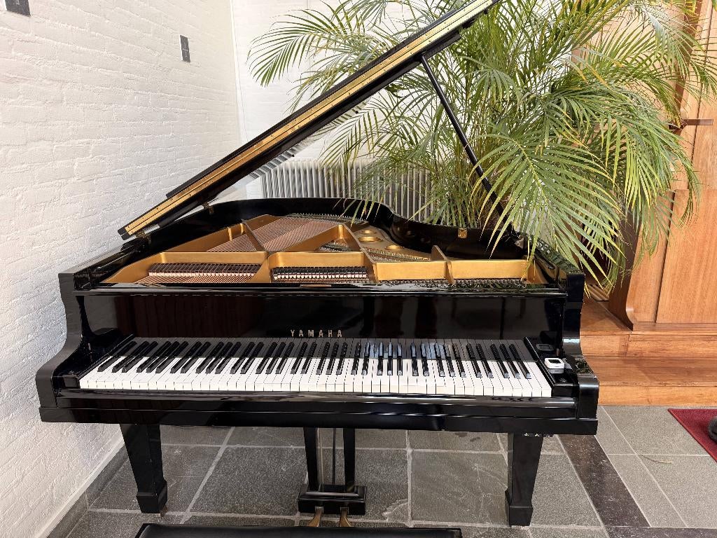 Yamaha G2 vleugel (Japan) warme klank, zeer goede staat, Muziek en Instrumenten, Piano's, Gebruikt, Zwart, Ophalen of Verzenden