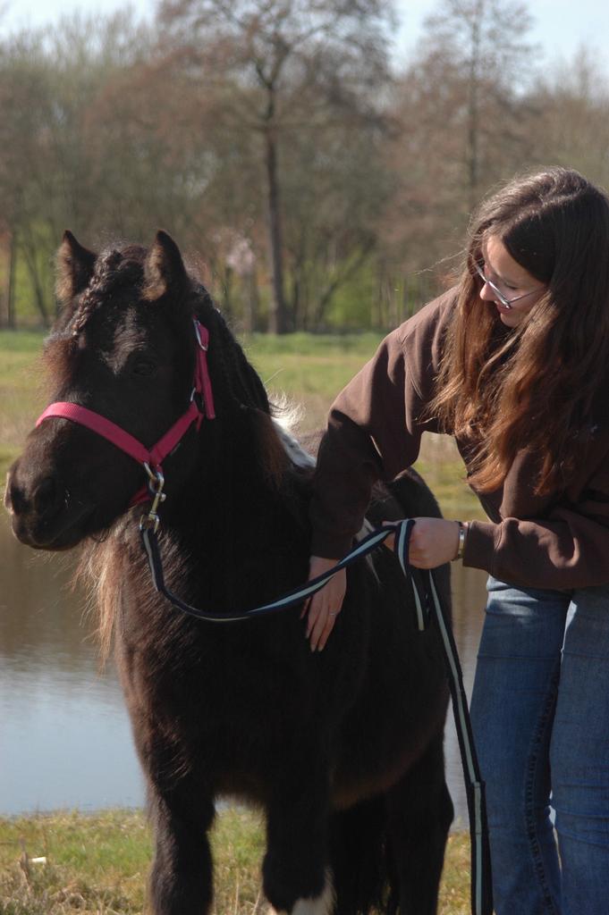 bijrijder aangeboden / verzorger aangeboden