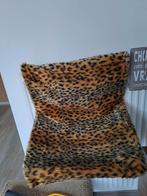 Katten hangmand, Ophalen