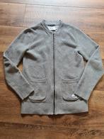 Nieuw grijs vest van Chasin' maat M, Chasin, Maat 48/50 (M), Nieuw, Ophalen of Verzenden