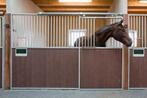 Hoogwaardige paardenboxen – direct uit voorraad leverbaar!, Dieren en Toebehoren, Stalling, 1 paard of pony
