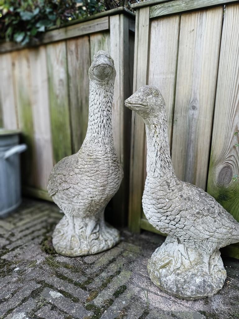 Te koop: ganzen van steen. 2 stuks., Ophalen, Steen