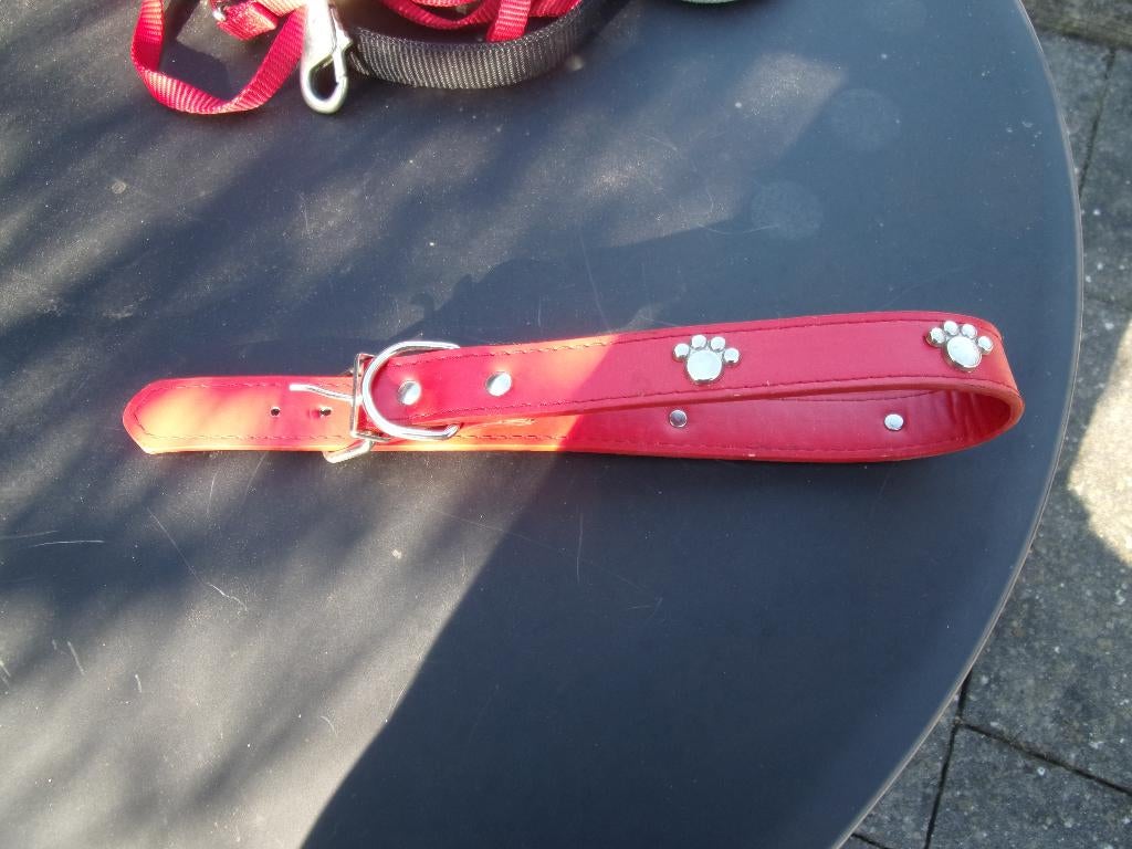 rode halsband voor honden, Ophalen, Nieuw