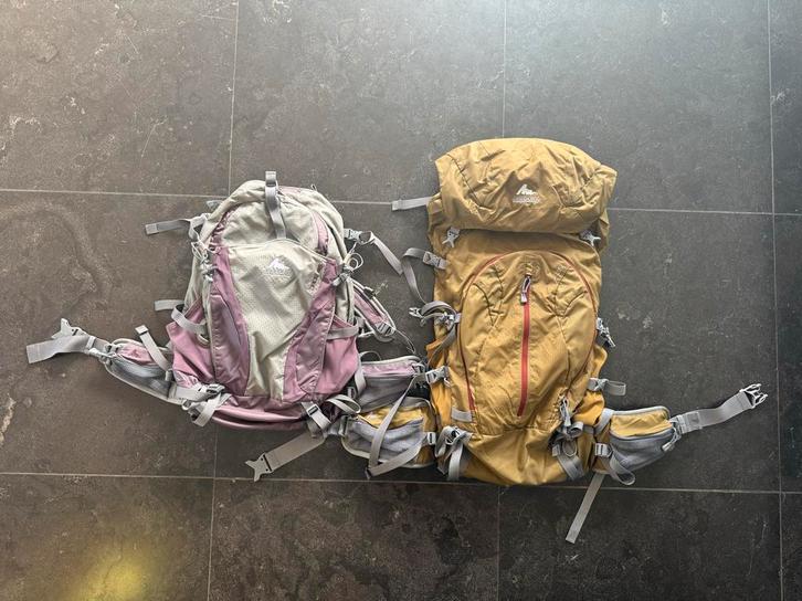 Gregory Dames- en Herenrugzak (35L & 25L), Sieraden, Tassen en Uiterlijk, Tassen | Rugtassen, Gebruikt, Overige merken, 40 cm of meer