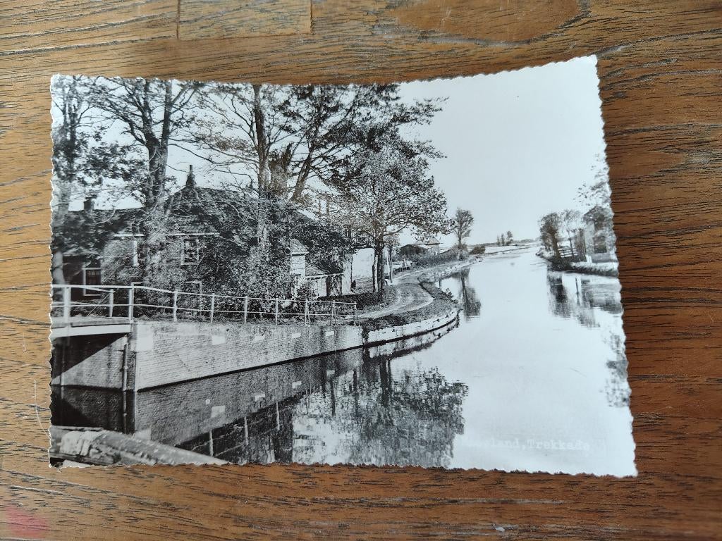 Maasland trekkade, Verzenden