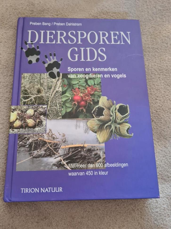 P. Dahlstrom - Diersporengids, Boeken, Natuur, Gelezen, Vogels, Ophalen of Verzenden