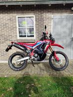 HONDA CRF 300 RALLY (BJ: 2023), Motoren, LED Verlichting, 300 cc, Particulier, Enduro