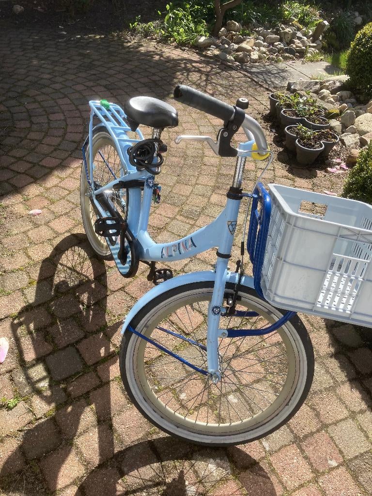Alpina Cargo kinderfiets, Ophalen, Gebruikt, 20 inch of meer, Alpina