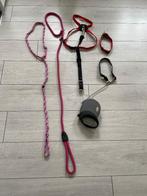 Hondenriemen, Ophalen, Gebruikt