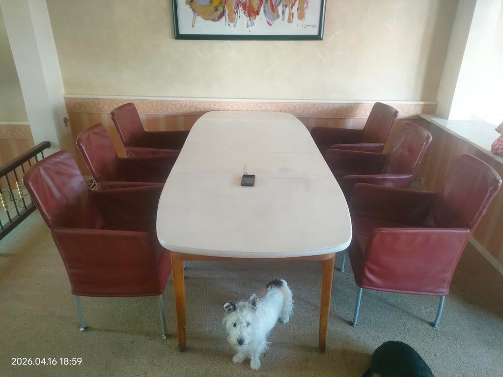 Mooie grote tafel, stoelen ook te koop, Ophalen, Gebruikt, 50 tot 100 cm, Vijf personen of meer