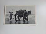 Foto ansichtkaart Egmond aan Zee, Schelpenvisscher., Ophalen of Verzenden, 1940 tot 1960, Gelopen, Noord-Holland
