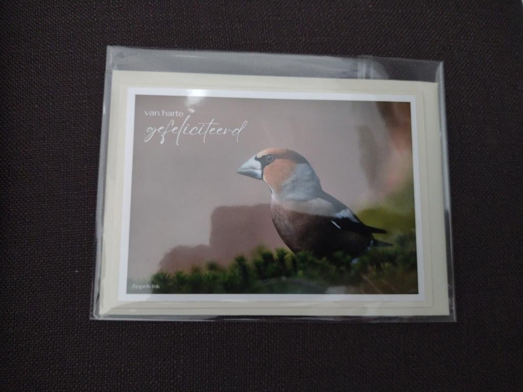 Pakket van 18 st dubbele foto kaarten met envelop (handmade), Nieuw, Ophalen of Verzenden, Overige thema's, Nvt