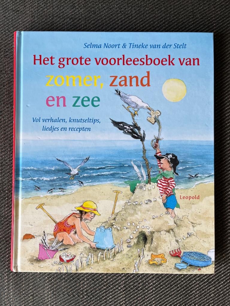 Selma Noort - Het grote voorleesboek van Zomer, zand en zee., Selma Noort, Fictie algemeen, Ophalen of Verzenden, Zo goed als nieuw