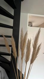 Pluimen decoratie, Ophalen, Nieuw