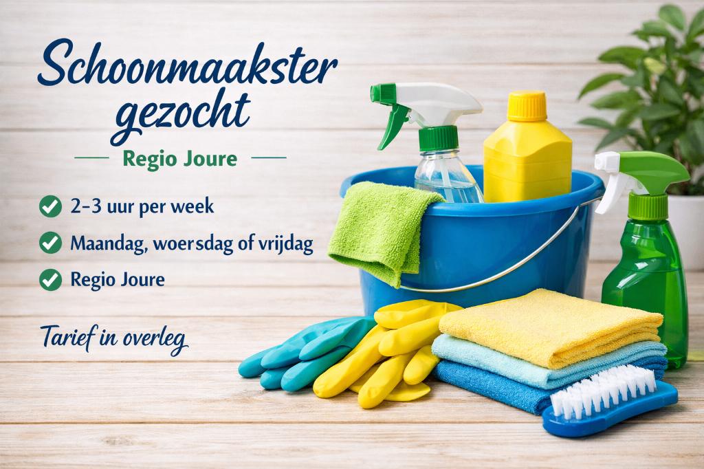 Gezocht: schoonmaakster omgeving Joure, Diensten en Vakmensen, Huishoudelijke hulp, Schoonmaken