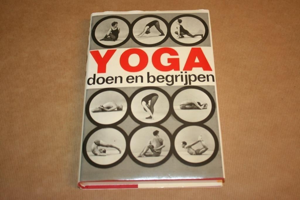 Yoga doen en begrijpen - Lysebeth - Ankh-Hermes, Boeken, Ophalen of Verzenden, Gelezen, Overige onderwerpen, Achtergrond en Informatie