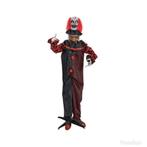 Animatronics clown, Ophalen, Overige typen