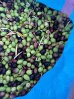 Verse olijf olie uit marokko, Ophalen of Verzenden