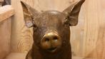 VARKEN / BRONZEN TUINBEELD / KNOR, Dierenbeeld, Nieuw, Info@huisentuindecoratiemarie.nl, Huis en tuin decoratie marie