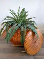 Rotan mand met deksel, Ophalen, Mand, Zo goed als nieuw, Riet