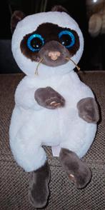 Ty beanie siamees, miso, 2021., Ophalen of Verzenden, Zo goed als nieuw, Poes