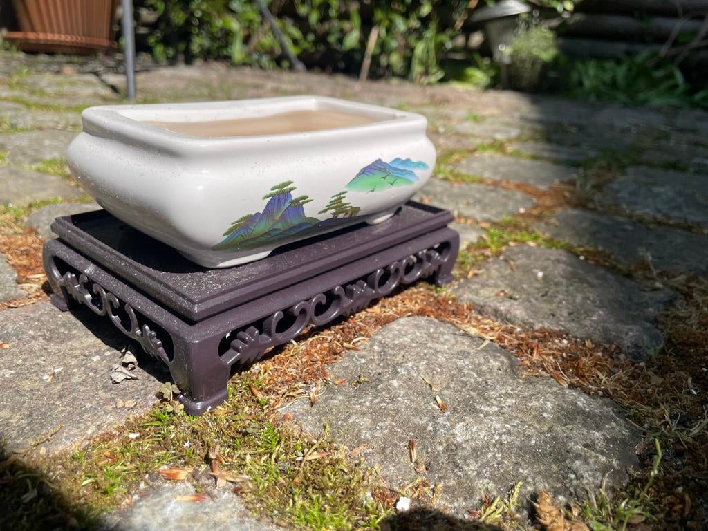 Bonsai pot met schotel - Keramiek, handgeschilderd, Tuin en Terras, Bloempotten, Nieuw, Aardewerk, Binnen, Minder dan 40 cm, Minder dan 25 cm