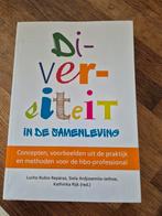 Diversiteit in de Samenleving - HBO-professional, Ophalen of Verzenden, Zo goed als nieuw, Lucho Rubio Repáraz, Siela Ardjoesemito-Jethoe, Kathinka Rijk