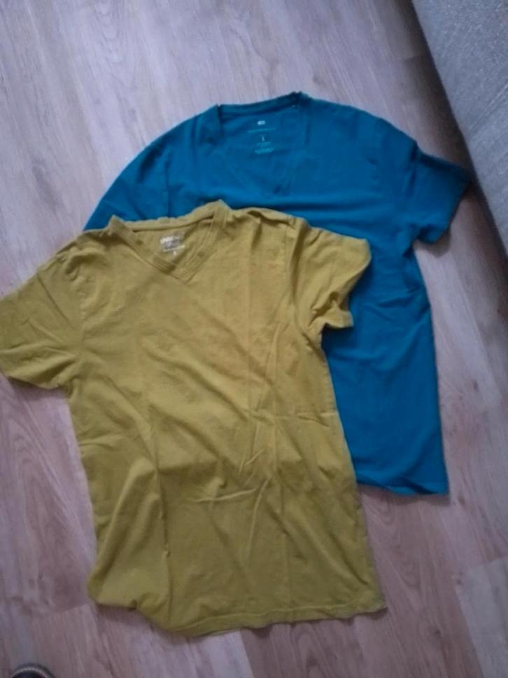 2 heren T-shirts, maat L, groen en blauw, Kleding | Heren, T-shirts, Gedragen, Maat 52/54 (L), Groen, Ophalen of Verzenden