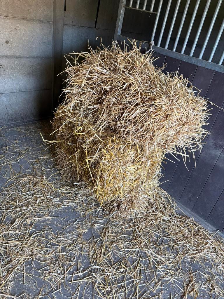 3 balen stro te koop, Ophalen