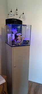 Aquamedic blennie 80L aquarium op hoog meubel, Dieren en Toebehoren, Vissen | Aquaria en Toebehoren, Ophalen, Leeg aquarium