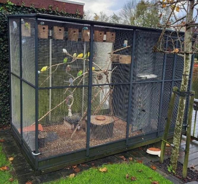 Volière aluminium antraciet met nachthok en sluis, Dieren en Toebehoren, Ophalen, Gebruikt, Aluminium, Volière