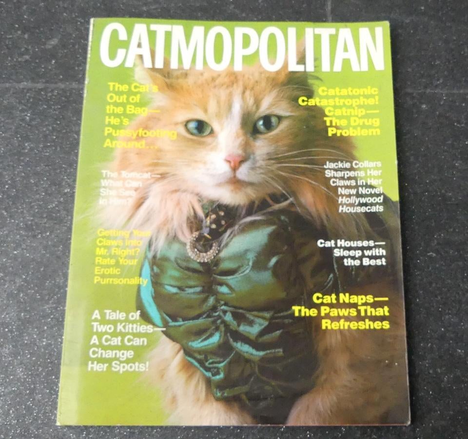 Catmopolitain tijdschrift vintage glossy 1987 Ilene Hochberg, Ophalen of Verzenden, Gelezen, Glossy