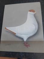 Helmduif op hout 25 x30 geschildert, Dieren en Toebehoren, Meerdere dieren, Overige soorten