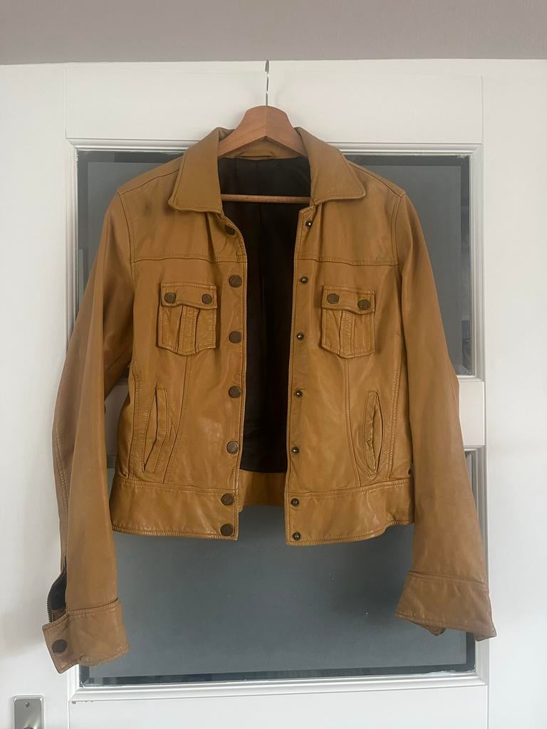 Tommy Hilfiger leren jasje maat S, Ophalen of Verzenden, Gedragen, Bruin