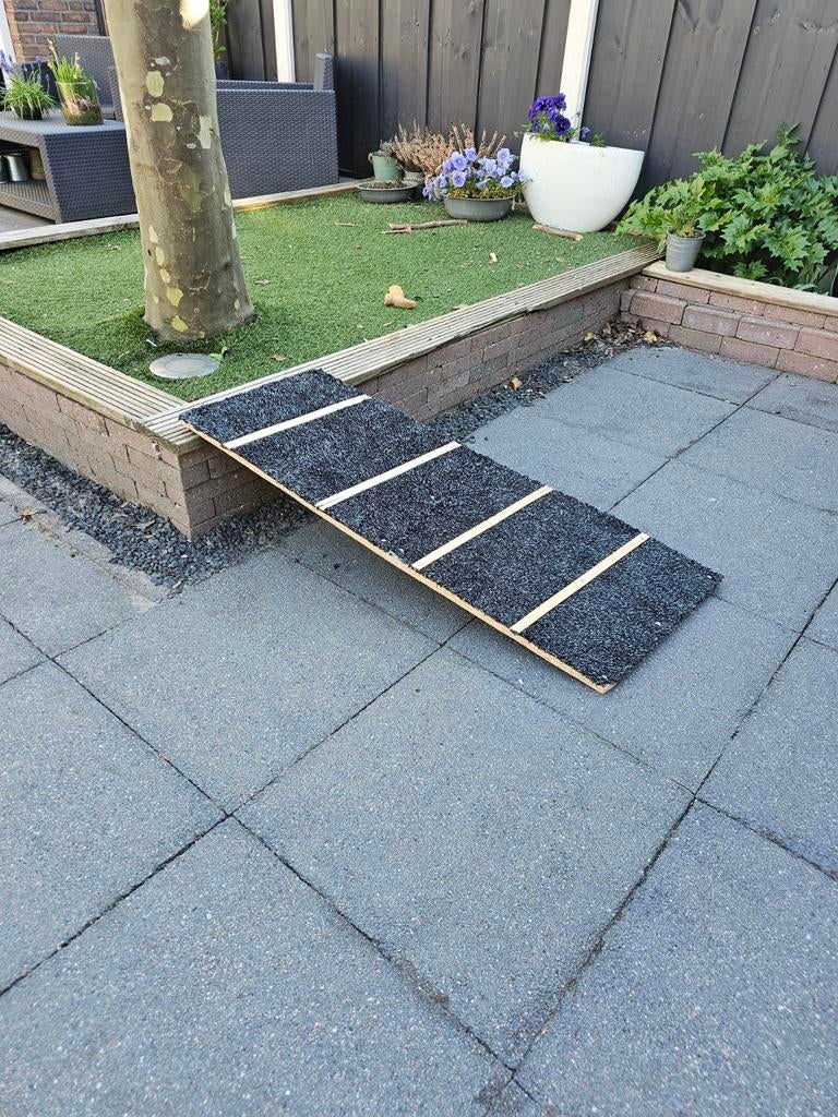Loopplank voor hond naar achterbank, Ophalen