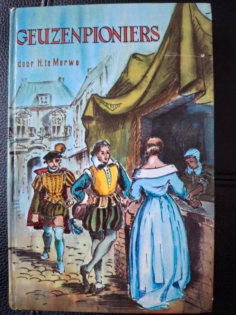 Geuzenpioniers - H. te Merwe, Boeken, Gelezen, H. te Merwe, Ophalen of Verzenden, 17e en 18e eeuw