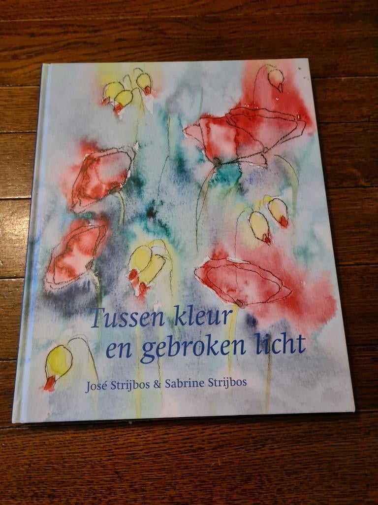 S. Strijbos - Tussen kleur en gebroken licht, Ophalen of Verzenden, Zo goed als nieuw, S. Strijbos; J. Strijbos