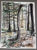 Aquarel tekening natuur bos, Ophalen of Verzenden