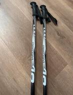 Elan GS Carve Ski's - Zo goed als nieuw!, Overige merken, 160 tot 180 cm, Ophalen of Verzenden, Zo goed als nieuw