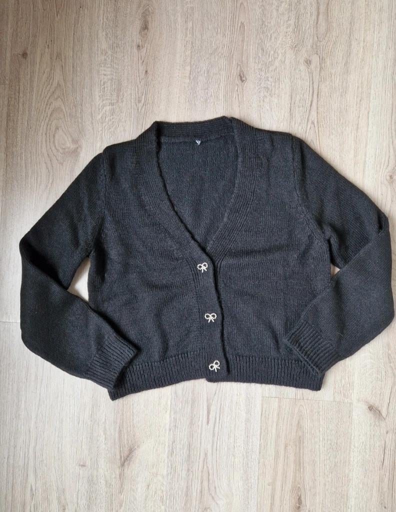 Cardigan, Maat 38/40 (M), Nieuw, Ophalen of Verzenden, Zara