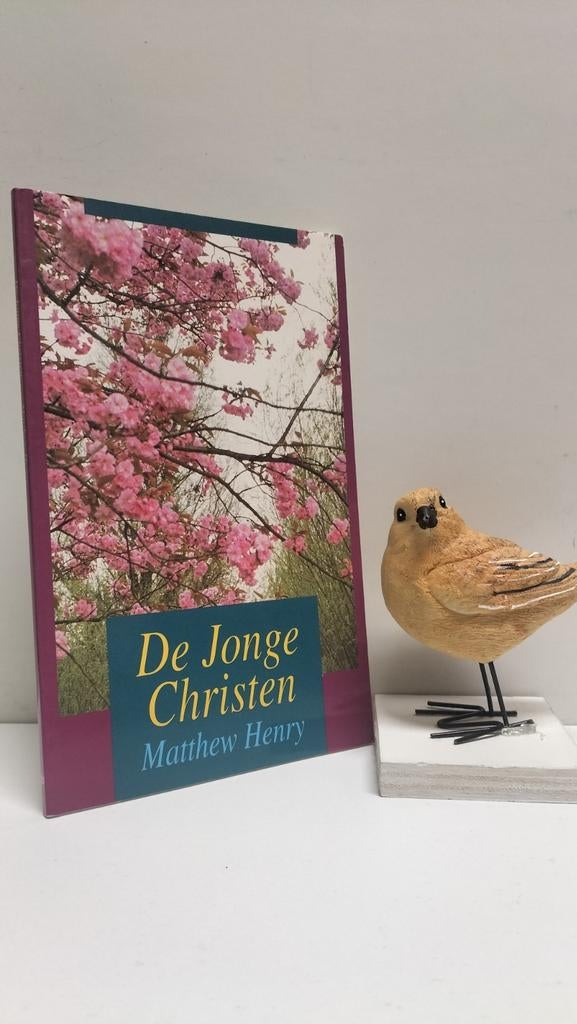 Henry, Matthew; De jonge christen, Boeken, Godsdienst en Theologie, Ophalen of Verzenden, Gelezen, Christendom | Protestants