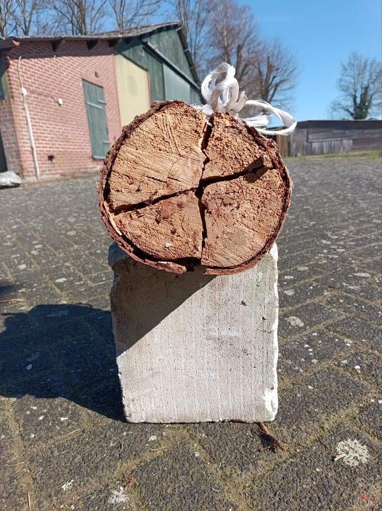 Gedroogd en gekloofd berkenhout - Ideaal cadeau!, Tuin en Terras, Haardhout, Ophalen of Verzenden