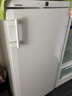 Vriezer Liebherr 125cm hoog, 120 tot 140 cm, Zo goed als nieuw, Ophalen, Vrieskast